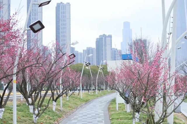 马年“顶流”地标在这里