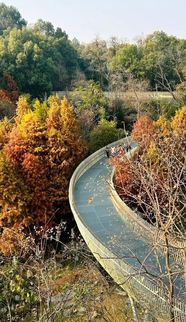 向云端，17分钟，这条云端索道全攻略来啦！