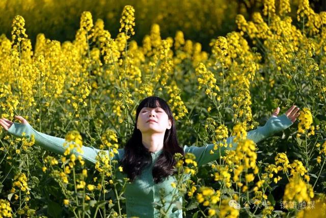 花朗车子坝：开给镇雄人自己的春天