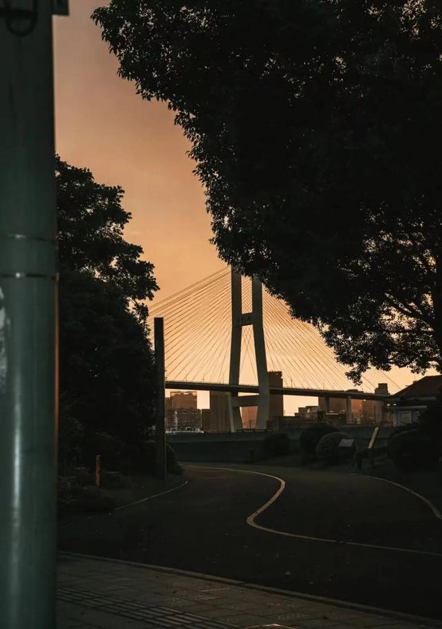 最佳季节！上海市中心也有人少景美骑行线