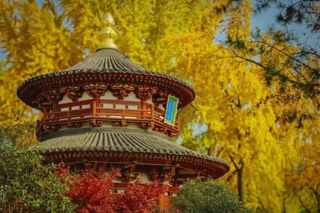 西安上新！高颜值秋景，正在加载！