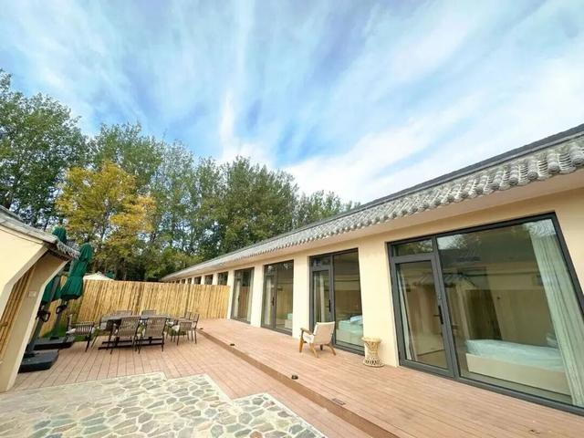 万鸟齐舞！北京这里成“候鸟天堂”，还有专属礼遇——