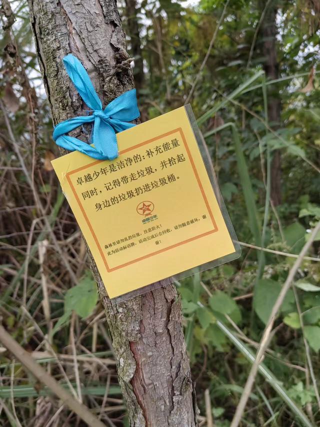 党报调查 | “网红山”层出不穷背后：停车困难、垃圾遍地……