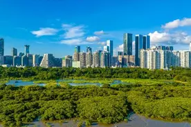 四十载！这里成为深圳最具代表性城市生态底色图片