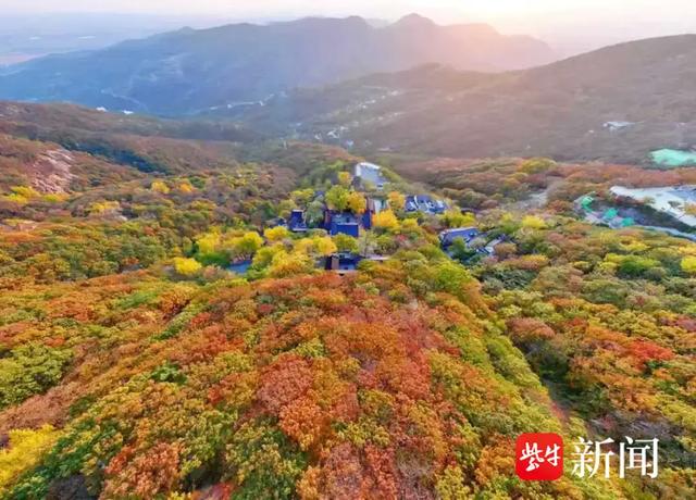 大王叫你来巡山!连云港花果山邀您参加新年登山赛