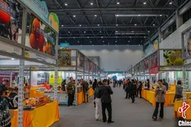 2023年广西名特优农产品交易会开幕 签约52.2亿元图片