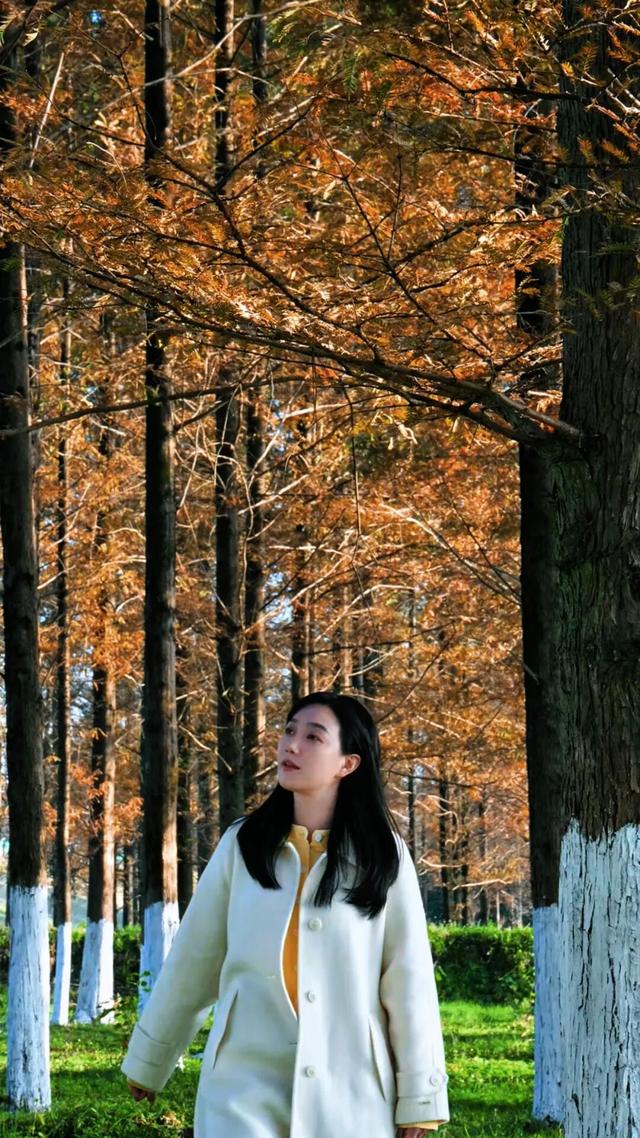 这片“童话森林”，红得如此烂漫！