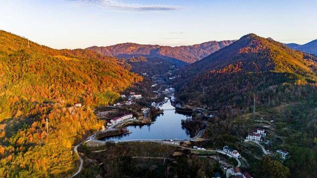 英山冷家山村：红叶漫山醉游人 生态美景引客来