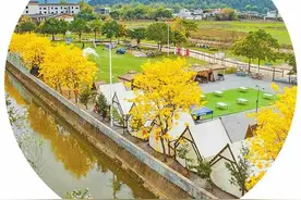 做好“双试点” 巧绘“丽江卷”图片