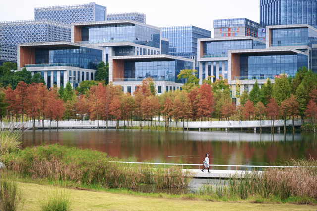 绝美！成都红枫进入最佳观赏期！线路来啦