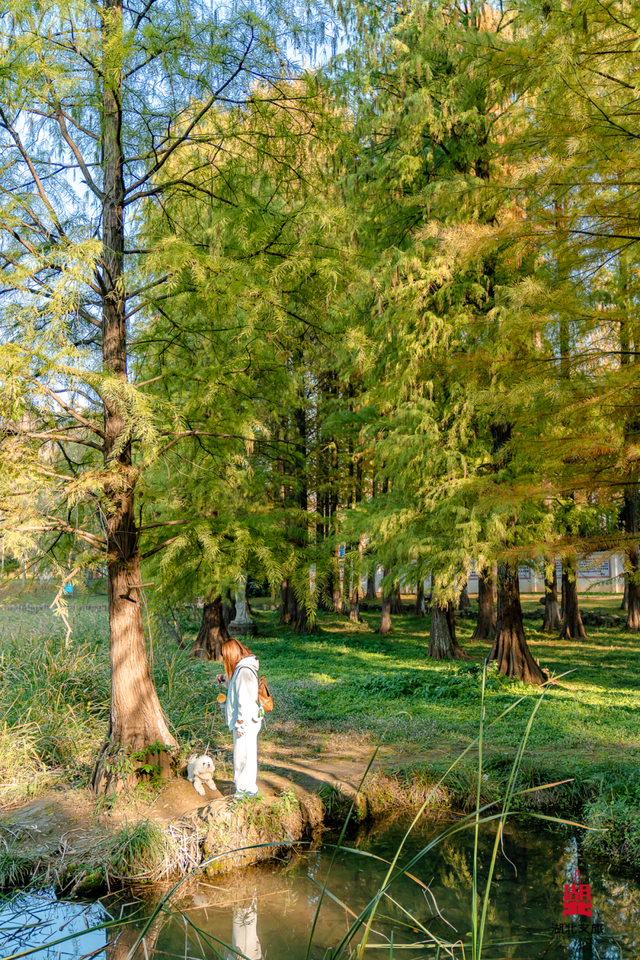 抓住晴天尾巴，徒步青龙山！