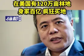 中国“网游教父”陈天桥跻身美国百大“地主”，在美国有120万亩林地图片