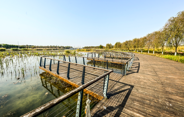 开放啦！副中心醉美秋色等您入画~