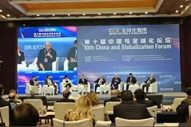 多国代表在京共议巴以局势：巴勒斯坦必须被承认为一个国家图片