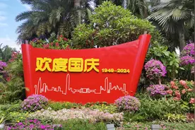 深圳全市公园花团锦簇迎国庆图片