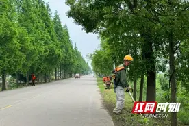 大通湖区河坝镇：道路亮肩换新貌 农居环境展新颜图片