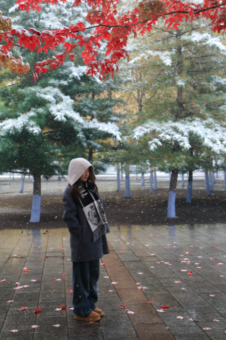 “白雪滤镜”加持，哈尔滨美成童话！熊猫撒欢、雪映枫叶，一起看雪趣大片——