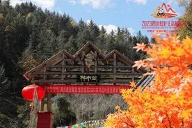 未来两周四川迎红叶彩林最佳观赏期 15个景区红叶观赏指数已达三级图片