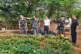 湛江麻章：法院强制执行回收7.55亩国有土地图片