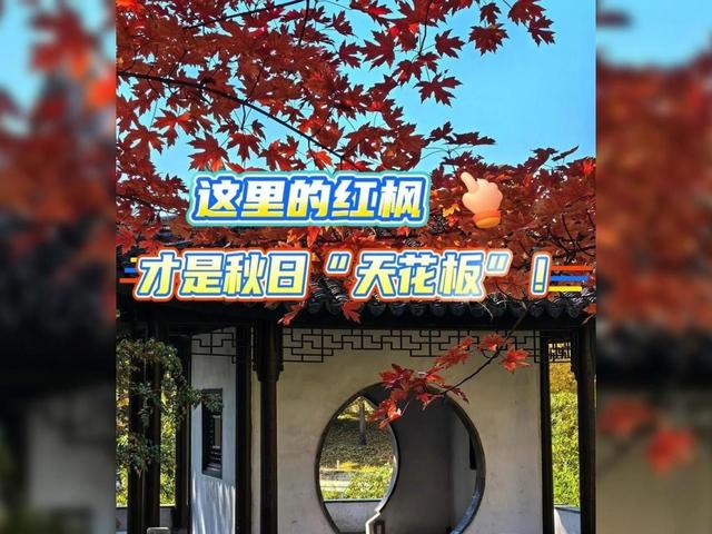 北京号最精彩｜18公里步道免费开放！这个公园迎来最佳观赏期