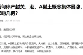 稀土概念股或成为A股热点方向：挖掘翻倍股图片