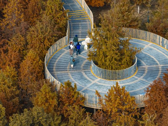 这座公园全面开放草坪，可以去露营了