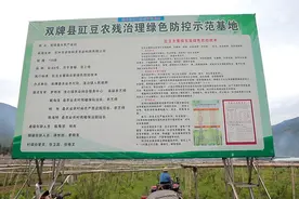 双牌：“运动式”智能育秧 春耕尽显科技范图片