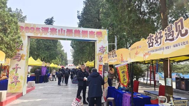 赵立坚微博打call日照银杏古树！附高清大图+进阶玩法！