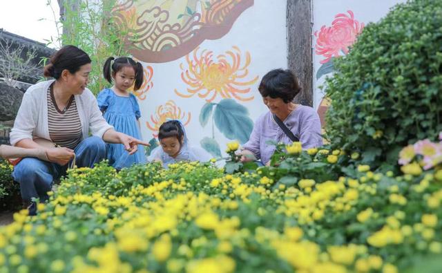 江苏句容：宝华山第十七届泡山嘉年华启幕
