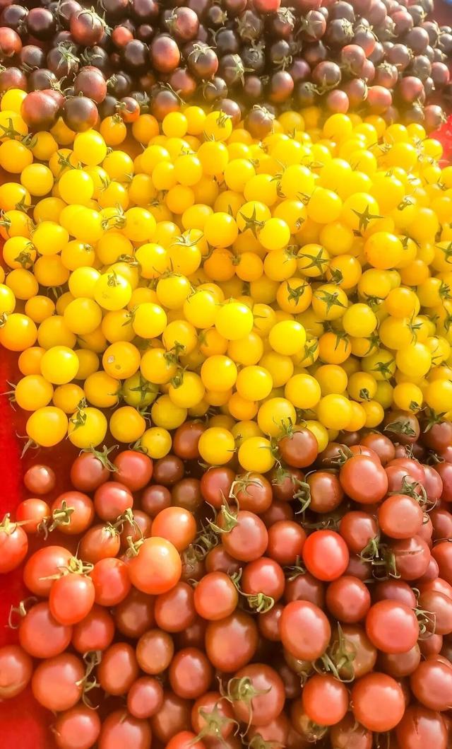 丰台烟火气天花板！这些宝藏早市、大集承包你的市井快乐~