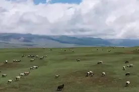 新疆巴音布鲁克草原雨后景色美图片