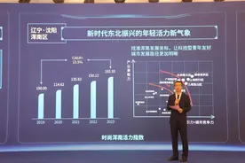 “不一样”的浑南——从指数看沈阳年轻的活力城区图片