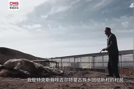 新疆特克斯：80岁老爷爷与他的“宝马”们图片