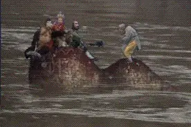 “黑熊精”是福州人？“悟空”在鼓山找袈裟？都是真的！图片