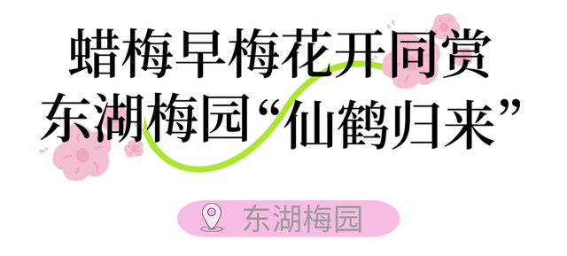 气温直冲20℃！第一波赏花的人已出发