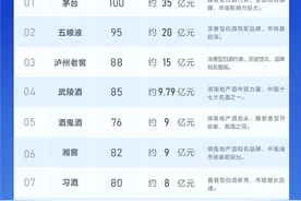 指数榜丨湖南白酒市场综合实力指数榜出炉 茅台稳居榜首图片