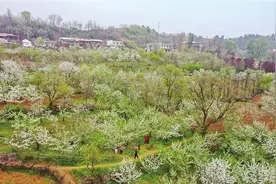 春醒万物生 出游正当时图片