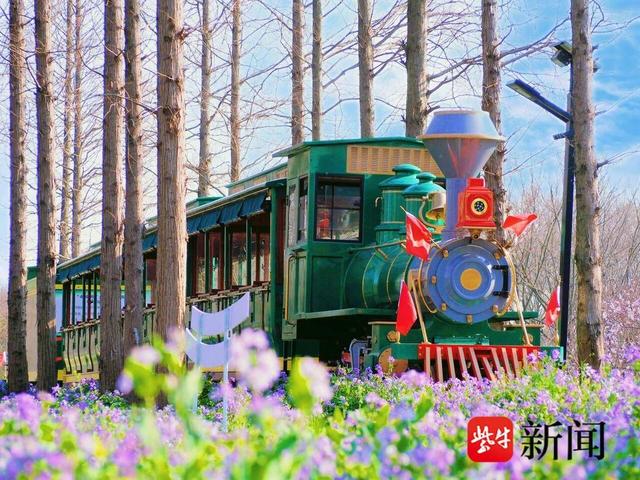 超千张优惠券来袭！常阴沙金秋乡村欢乐游正式开启，六大活动邀您嗨玩一季