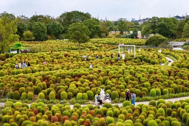 【回眸五年间】城乡变化中的幸福答卷