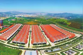 超过2亿瓶张裕葡萄酒和白兰地的溯源信息上链图片