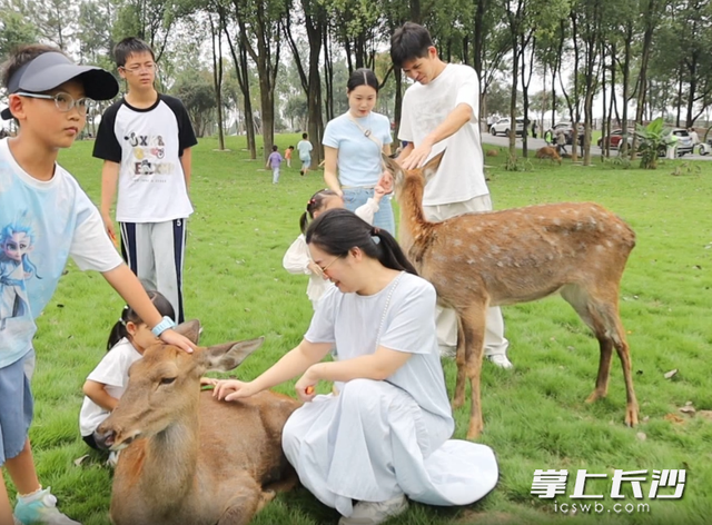 国庆中秋双节“热”力足，湖南常德野生动物世界成文旅新地标