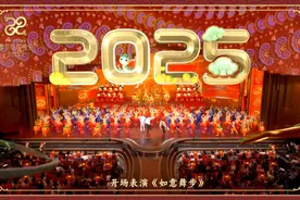 总台蛇年春晚：跨越国界的文化盛宴，各项传播指标创新高图片