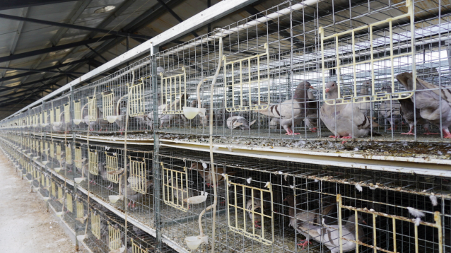 走，去六合当一日小农夫！