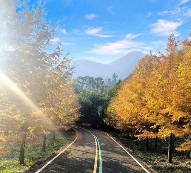 跑福马 游福州 | 逛吃福州专属福利已就位！