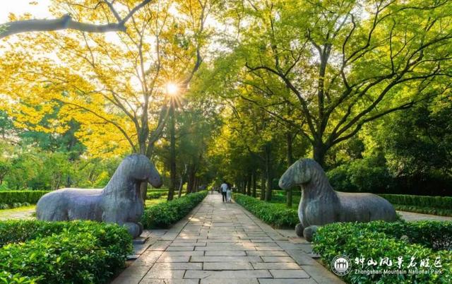 南京石象路秋日限定正式上线