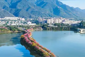 惊艳！原来广东有这样美的长堤，为了这条花路必须来一趟肇庆图片