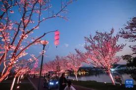 美丽乡村开启“春日花朝节”图片