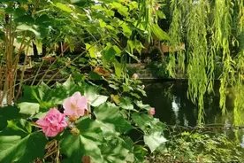 3109！3109！上财研招火热报名中～图片