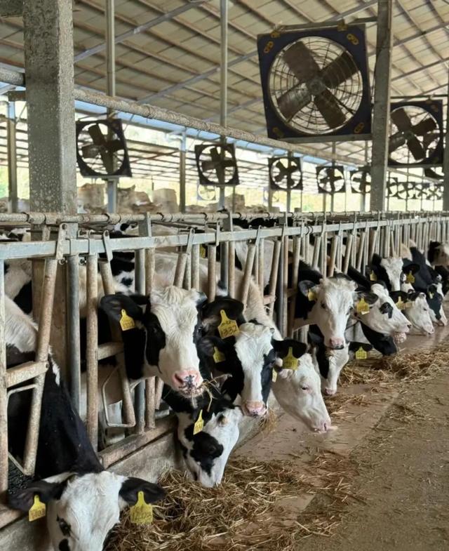 快来报名——“甘味少年行”金昌少年儿童寒假科技生态研学营即将开营啦！