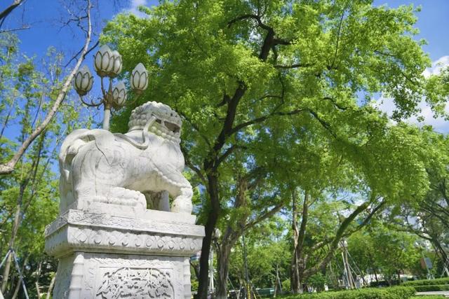 生日快乐！今天，它104岁啦！